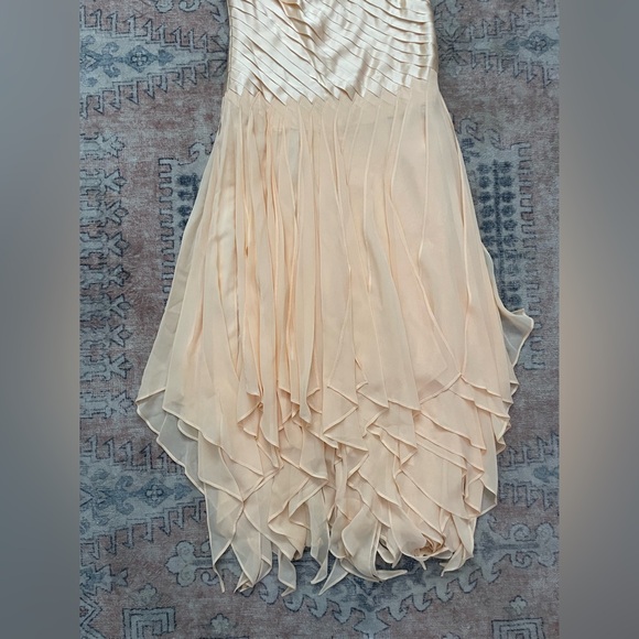 Issue NWT Silk Pink Fairy Whimsical Ballet Y2K Chic Ruffle Flowy Cocktail Dress - Picture 2 of 7